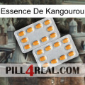 Kangaroo Essence cialis4